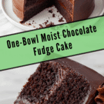 One-Bowl Chocolate Fudge Cake (SO Moist!)