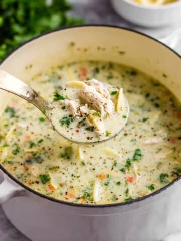 One Pot White Chicken Lasagna Soup Recipe