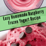 Raspberry Frozen Yogurt