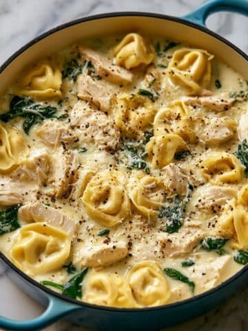 Creamy Chicken Tortellini Soup Recipe