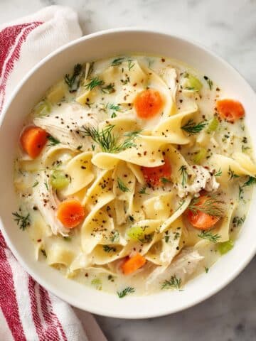 Creamy Chicken Noodle Soup Recipe