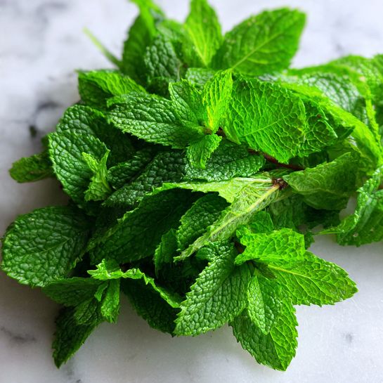 This image shows a close-up of many fresh green mint leaves with light green stems. The leaves have textured, veiny surfaces and crisp edges. The mint bunch is dense and layered, filling the space with bright vibrant green colors. The background is a white marbled surface that softly reflects light, highlighting the freshness of the leaves. photo taken with an iphone --ar 4:5 --v 7