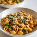 Ground Beef Orzo with Tomato Cream Sauce Recipe