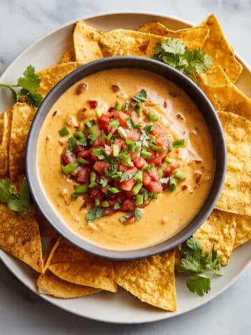 Cottage Cheese Queso: 4-Ingredient High-Protein Dip Recipe