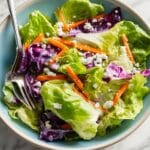 Sunshine Salad Dressing Recipe