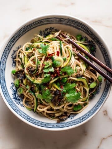 Simple Udon Noodle Bowl Recipe