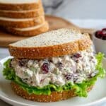 Chicken Salad with Cranberries and Pecans Recipe