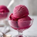 Blueberry Frozen Yogurt Recipe