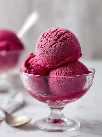 Blueberry Frozen Yogurt Recipe