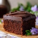 Vegan Chocolate Zucchini Snack Cake with Nut Butter Ganache Recipe