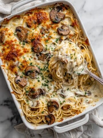Creamy Chicken Tetrazzini Casserole Recipe