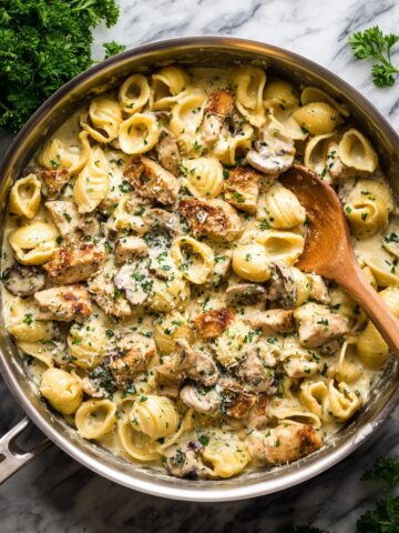 Creamy Chicken Pasta Recipe