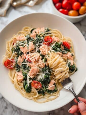 Creamy Tomato Salmon Pasta Recipe