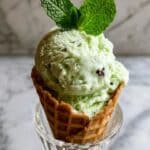 Ninja Creami Mint Chocolate Chip Ice Cream Recipe