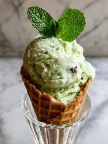 Ninja Creami Mint Chocolate Chip Ice Cream Recipe