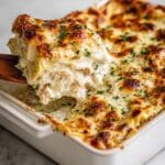 Chicken Alfredo Lasagna Recipe